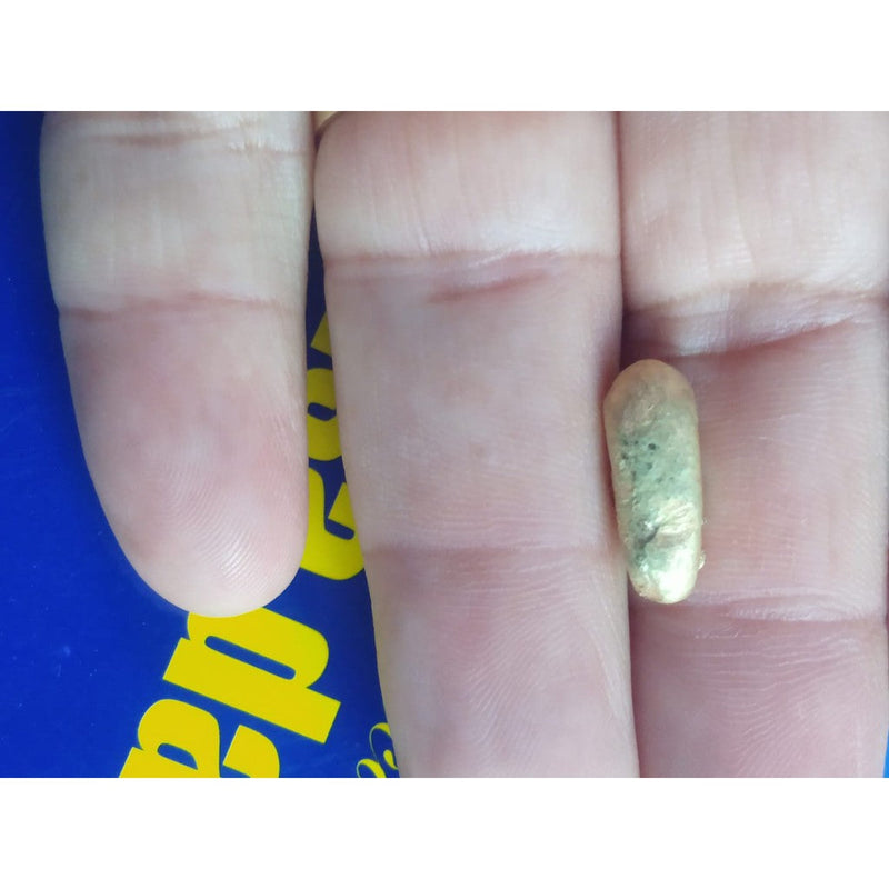 Ouro 18 kilates com certificado de garantia eterna 2 gramas