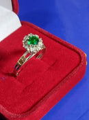 Anel Formatura Prata com Símbolo Ouro 18 Kilates Todos os Cursos